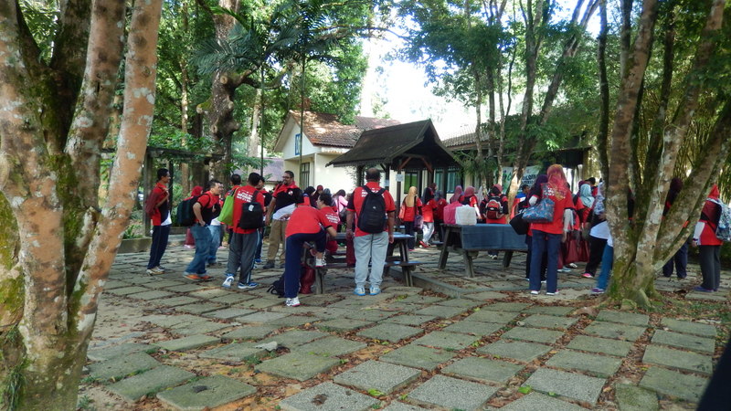 0737 DSCN0661
